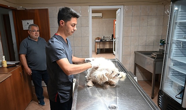 Kemer Belediyesi "Can dostlarına" sahip çıkıyor