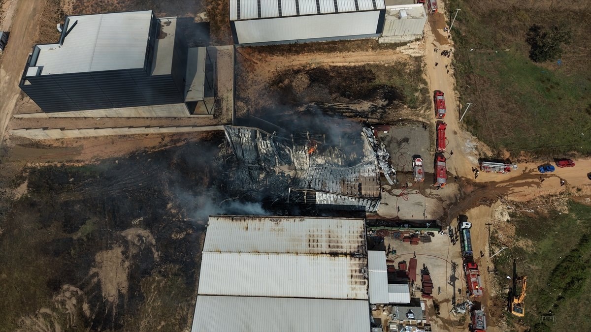 Kocaeli'de kimya fabrikasında yangın: 2 işçi yaralandı, 2 at telef oldu