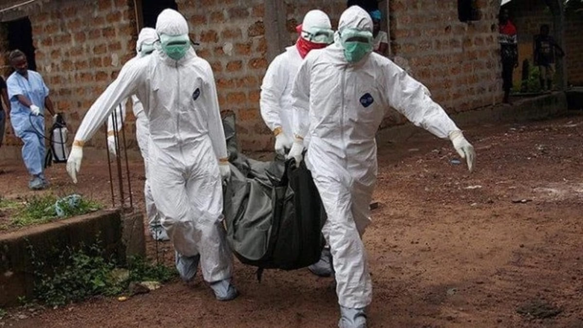 Kongo'da Ebola salgını: 2 bin 500'den fazla can kaybı