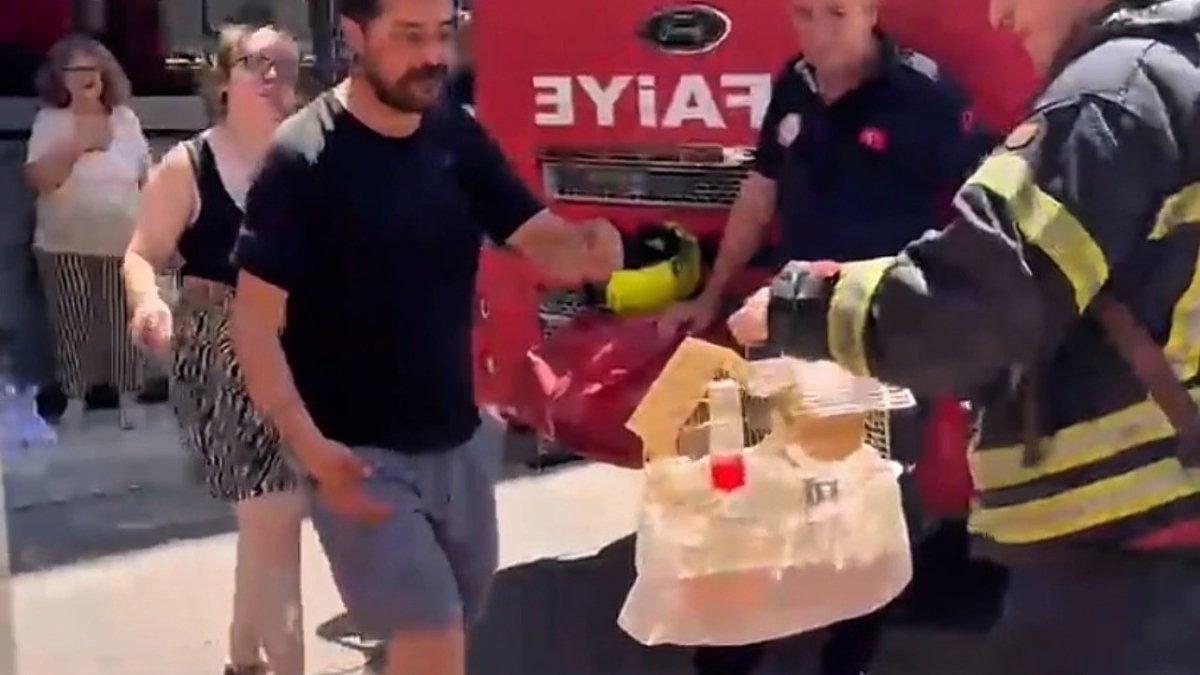 Mersin'de yangında mahsur kalan cennet papağanını itfaiye kurtardı