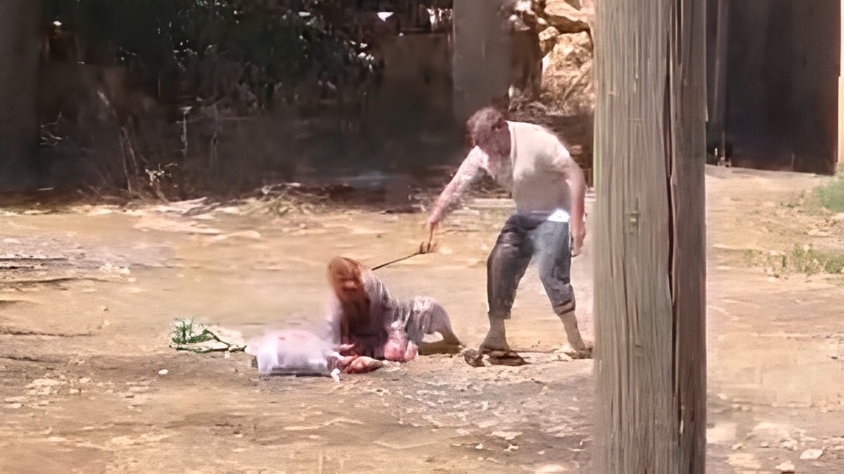 Şanlıurfa'da dehşete düşüren olay: 85 yaşındaki annesini sopayla dövdü