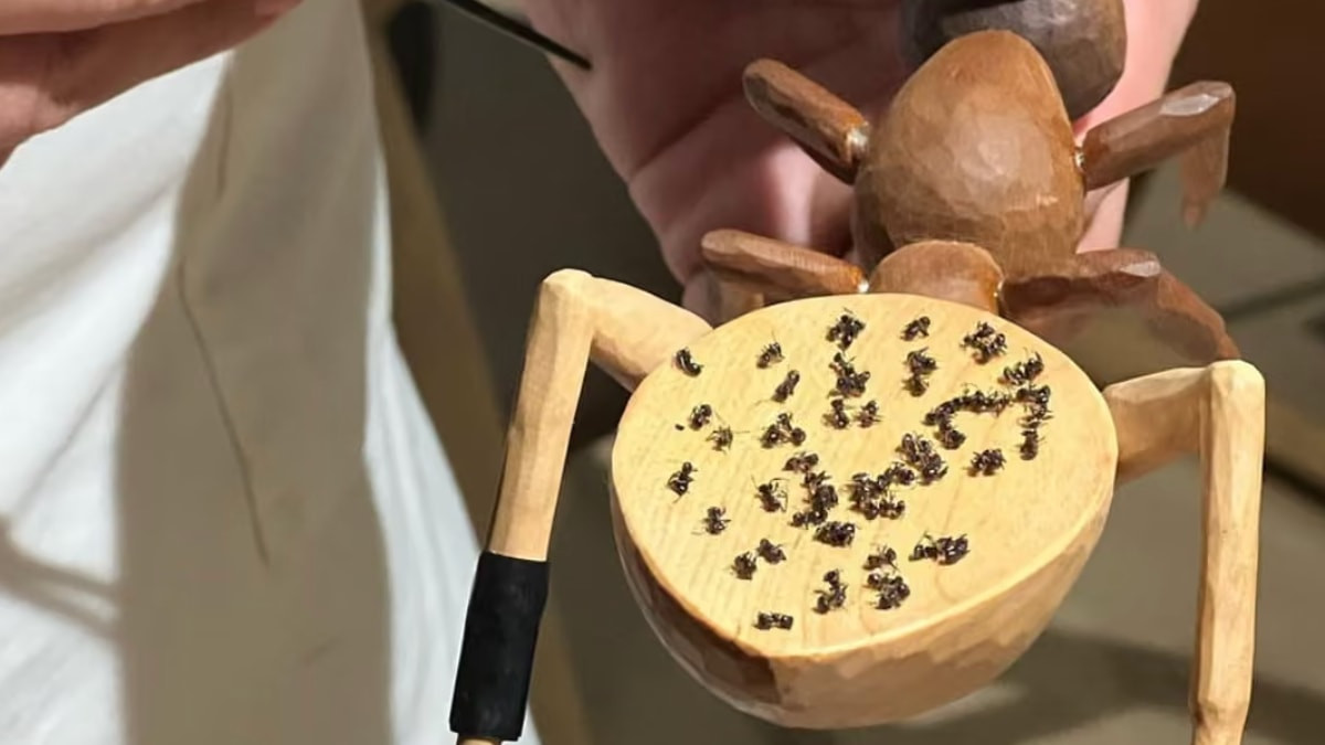 Güney Kore'de Michelin yıldızlı restorana karıncalı tatlı için para cezası