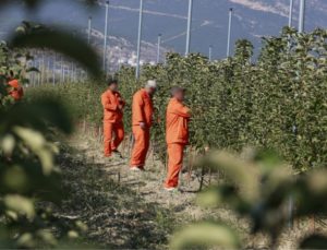 Ceza Evlerinde 200 meslek dalında üretim yapılıyor