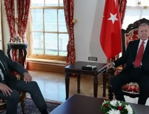 Cumhurbaşkanı Erdoğan, SDA Genel Başkanı İzetbegoviç ile telefonda görüştü