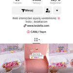 Çocukları Hedef Alan Online Dolandırıcılık İddiaları: Lesiella.com Skandalı