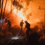 AB ormanları 2025’teki yangınlarda en büyük kaybı yaşadı