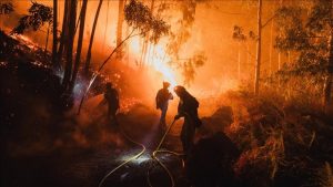 AB ormanları 2025’teki yangınlarda en büyük kaybı yaşadı