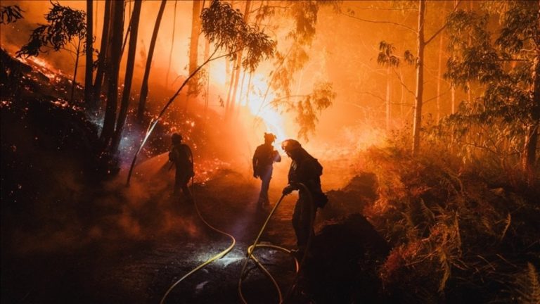AB ormanları 2025’teki yangınlarda en büyük kaybı yaşadı
