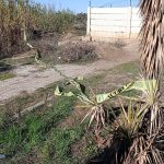 Adana’da sır ölüm: Yol kenarında kadın cesedi bulundu