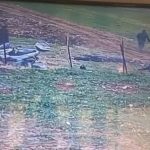 Adıyaman’da madde etkisindeki şahısların tek tek yere yığıldığı anlar kameraya yansıdı