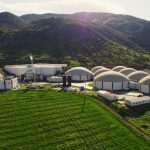 ARF Bio’nun halka arzına 4 kata yakın talep geldi