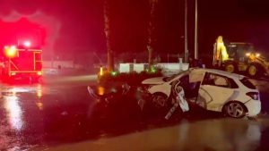 Aydın’da ağaca çarpan otomobilin sürücüsü öldü