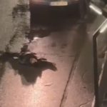 Batman’da tartıştığı kişiler tarafından sokak ortasında vurularak öldürüldü