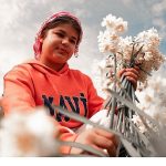 Bayındır’da Nergis ve Kuru Çiçek Festivali 5. Kez düzenleniyor