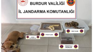 Burdur’da operasyon yapılan ev hayvanat bahçesi gibi çıktı