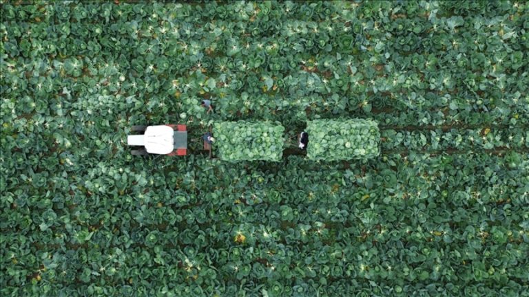 Çiftçi Kayıt Sistemi’ne başvurmak için son tarih 31 Aralık