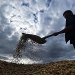 Çiftçilere yaklaşık 1,7 milyar lira tarımsal destekleme ödemesi bugün yapılacak