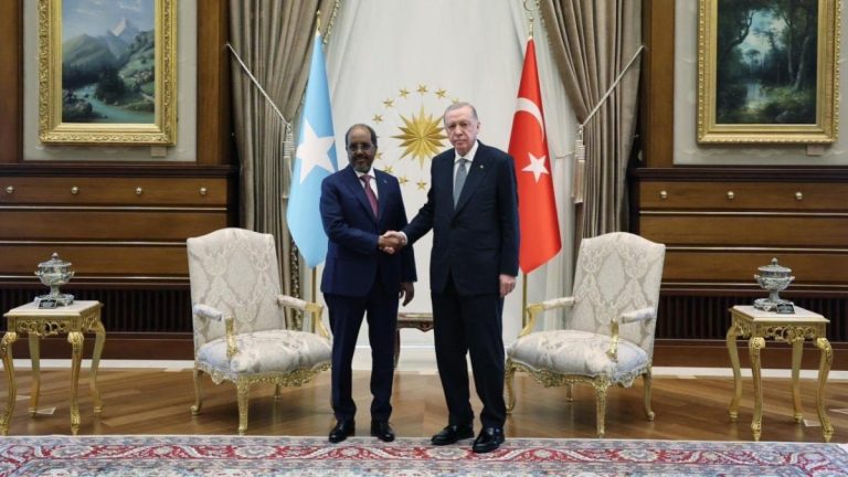 Cumhurbaşkanı Erdoğan, Somali Cumhurbaşkanı Mahmud ile bir araya geldi