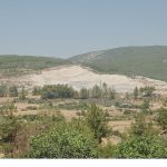 Doğa İçin Sorumluluk Hepimizde: TEMA Vakfı 2025’in Çevre Olaylarını Değerlendirdi