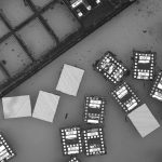 Dünyanın en küçük robotları üretildi: Bir gün hayatınızı kurtarabilir