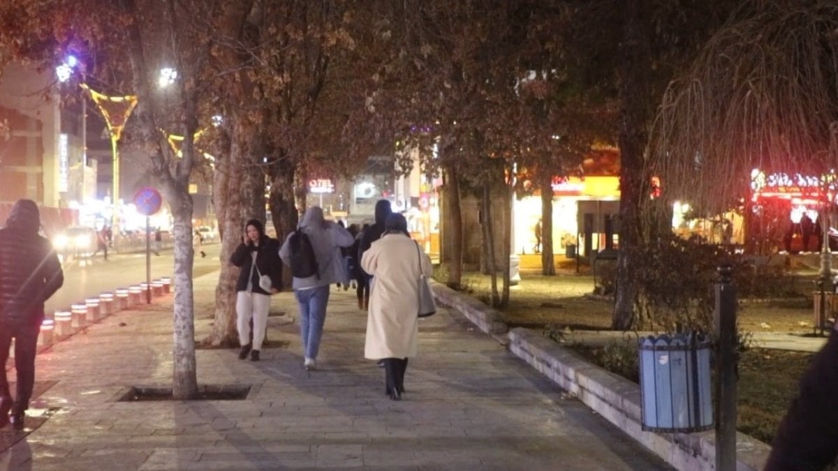 Erzincan’ın kronik karga sorunu: Akşam saatlerinde sokakları sardılar