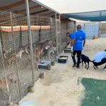 Gazze’nin tek hayvan barınağının çalışanları yemeklerini hayvanlarla paylaştı