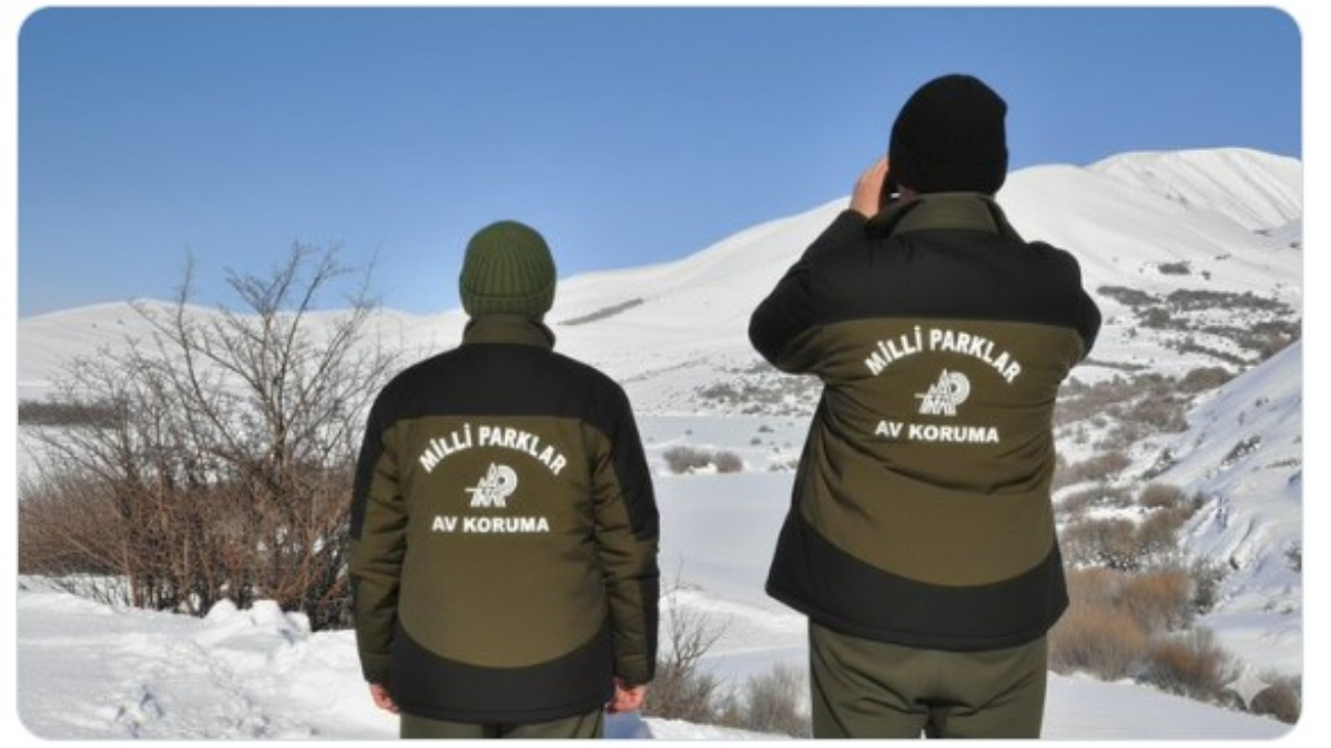 Hakkari’de yaban keçisi avına ağır ceza