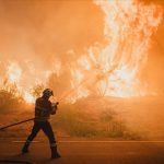 İspanya’da bu yıl 350 bin hektardan fazla ormanlık alan yandı