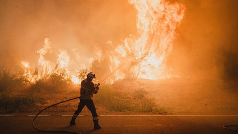 İspanya’da bu yıl 350 bin hektardan fazla ormanlık alan yandı