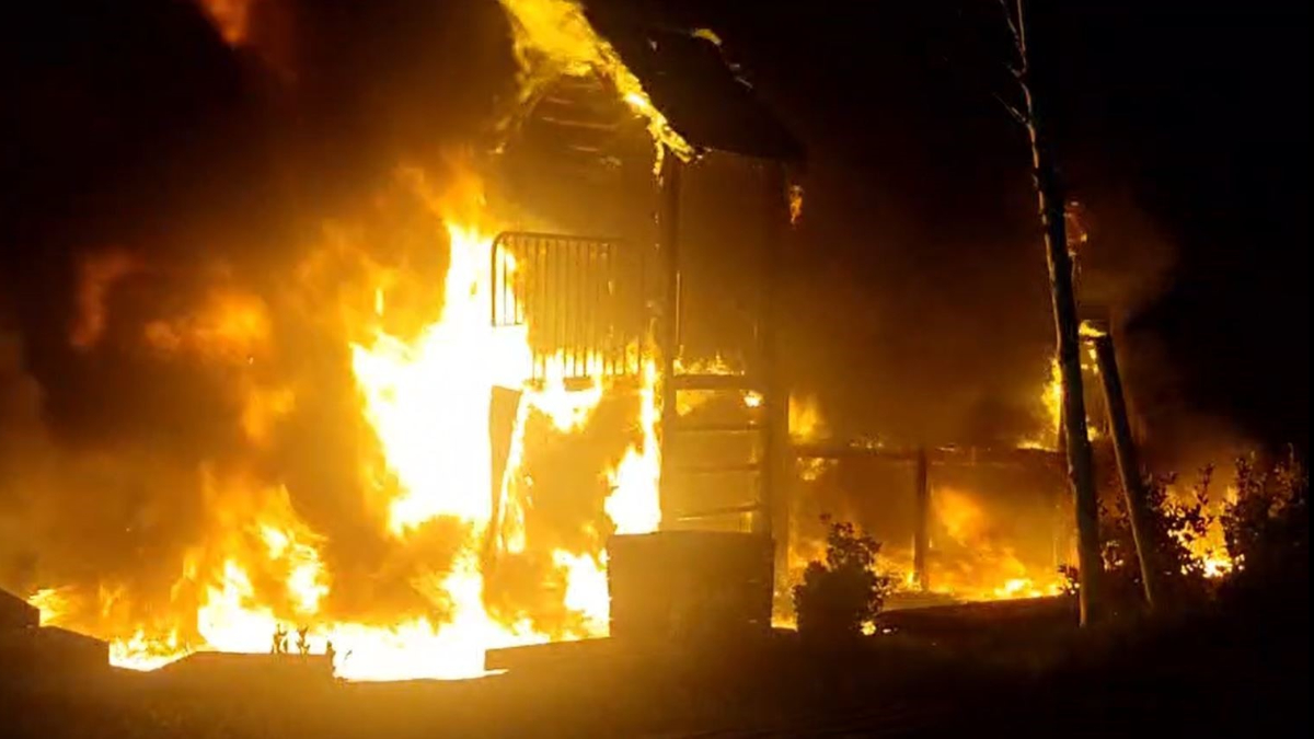 İstanbul’da ısınmak isterken park küle döndü