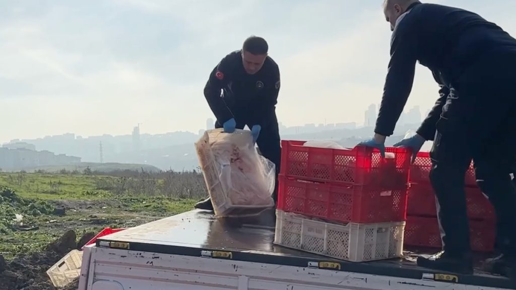 İstanbul’da kaçak ve sağlıksız 1 ton tavuk eti imha edildi: İşletme mühürlendi