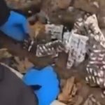 İzmir’de bahçeden 9 bin uyuşturucu hap çıktı