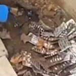 İzmir’de toprağa gömülü uyuşturucu bulundu