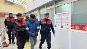 Kocaeli’de balta ve kazmalı cinayet: Kafasını hatırlamadığım kadar vurdum