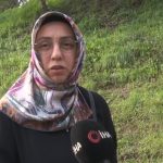 Kocaeli’de başıboş köpek tepkisi: 30’a yakın köpek bir arada dolaşıyor