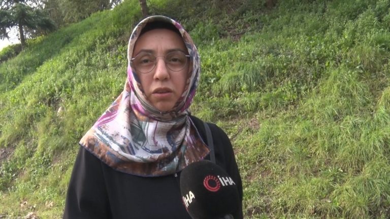 Kocaeli’de başıboş köpek tepkisi: 30’a yakın köpek bir arada dolaşıyor