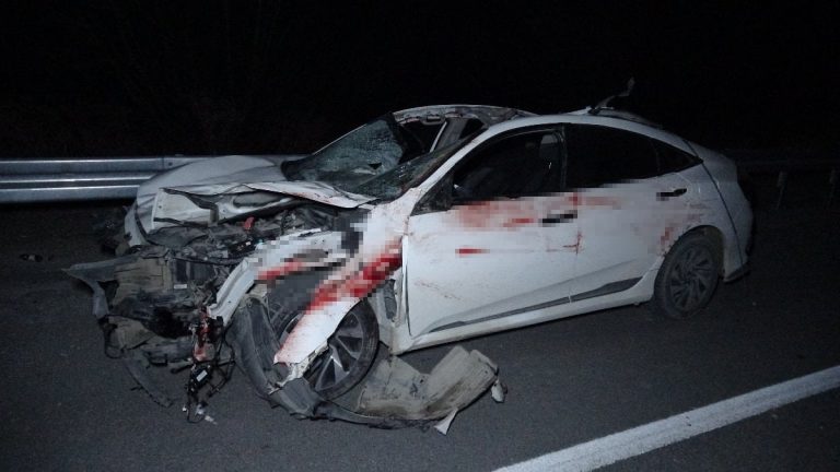 Malatya’da milyonluk yarış tayları kaza sonucu telef oldu