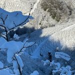 Ordu’da kar yağışı fındığa yaradı