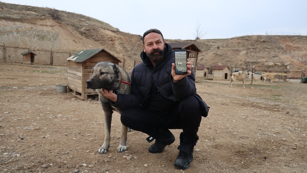 Sivas’ta kurt tehlikesine karşı Kangal