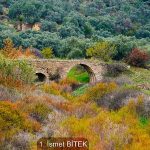 Sonbaharın Tüm Renkleri Bayındır’da Buluştu