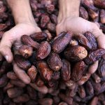 Türkiye’den Filistin’e hurmada kota desteği