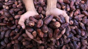 Türkiye’den Filistin’e hurmada kota desteği