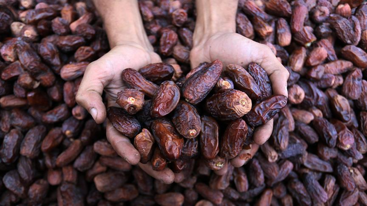 Türkiye’den Filistin’e hurmada kota desteği