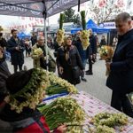 8. Karaburun Nergis Festivali başladı