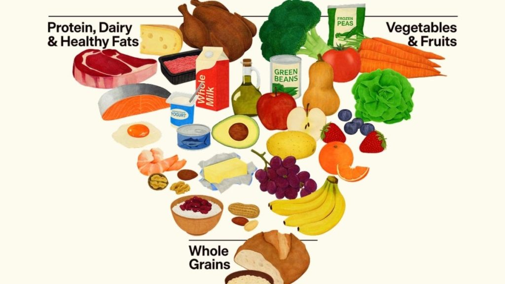 ABD besin piramidini değiştirdi: İşte yenisi…