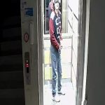 Adana’da apartmandan kuş çaldı