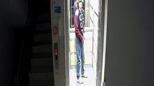 Adana’da apartmandan kuş çaldı