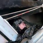 Adana’da aracında 66,6 bin uyuşturucu ele geçirildi: Babam hastaydı