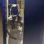 Adana’da kaskla apartmana giren şüpheli idrarını yapıp damdaki kuşları çaldı