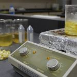 Ağaç kavunu kabuğundan çevreci ‘süper emici hidrojel’